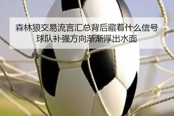 森林狼交易流言汇总背后藏着什么信号 球队补强方向渐渐浮出水面